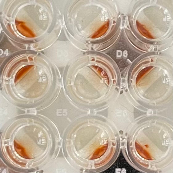 Magnetic separation rack closeup view with a microwell plate