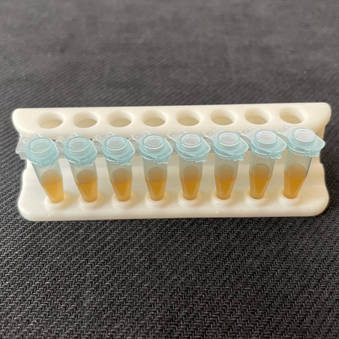 A tube holder to keep the tubes away from the magnets is integrated