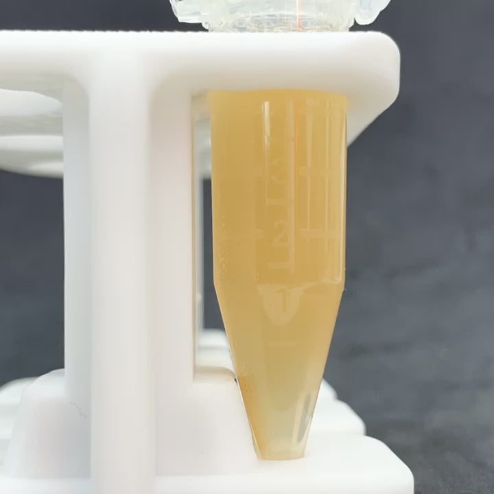 time lapse video 15 min only bottom magnet