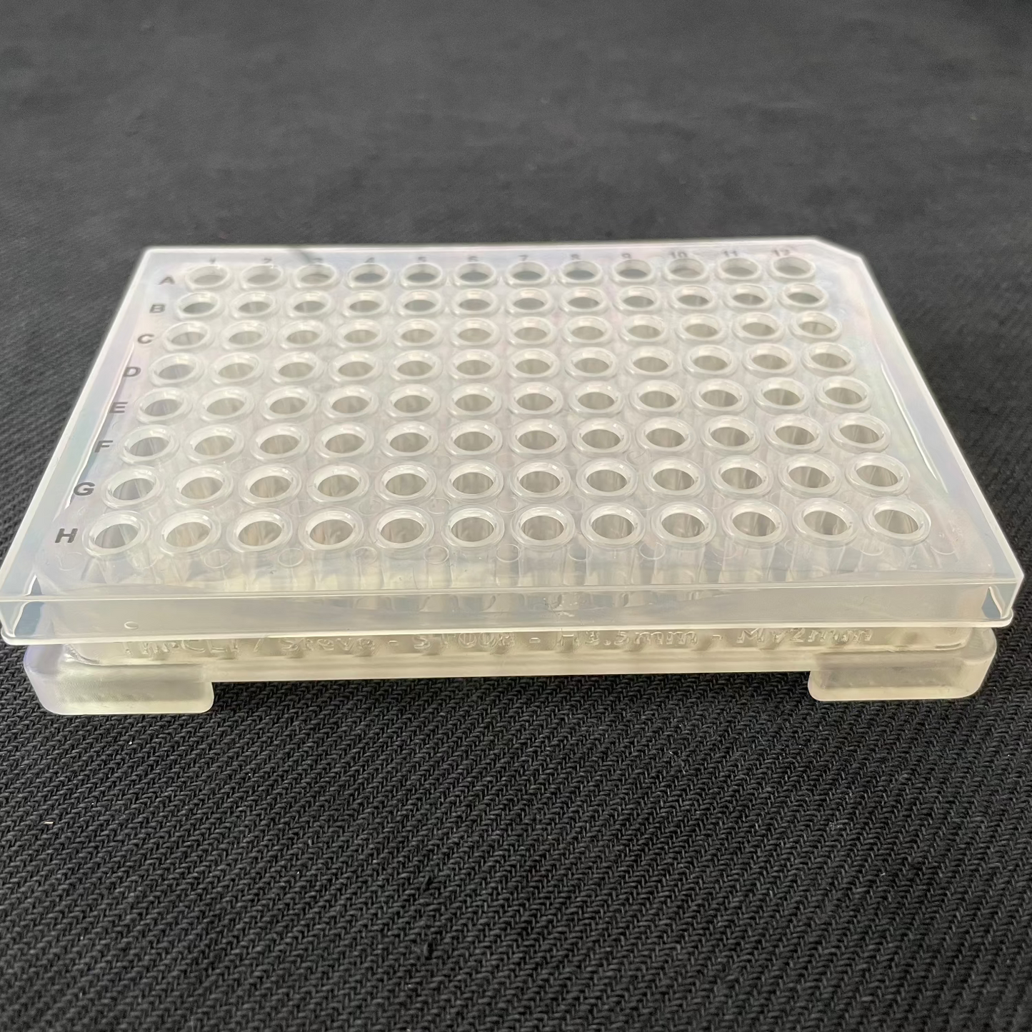 Magnetic rack with a PCR plate placed on top