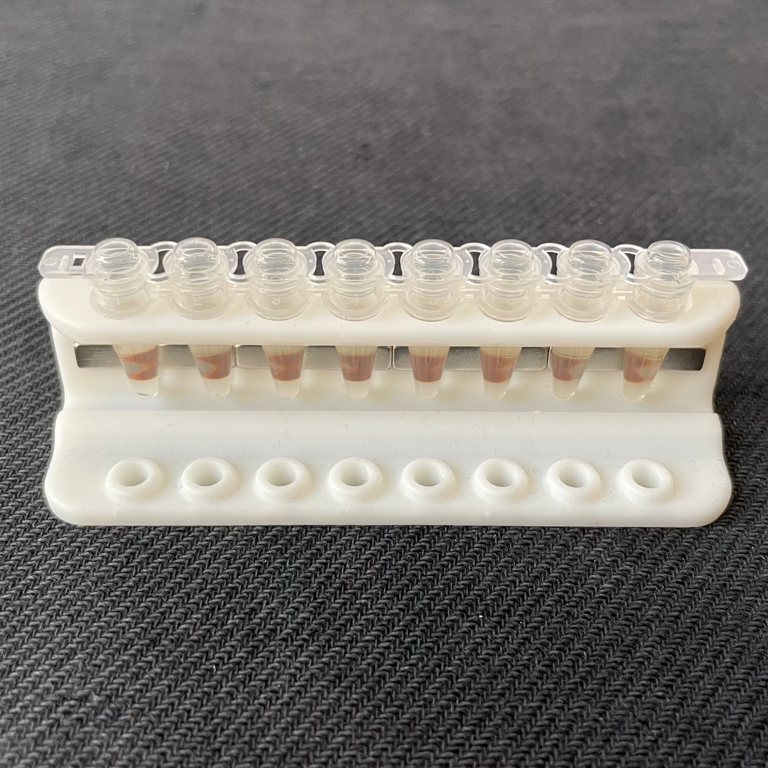 Customizable Magnetic Separation Rack for PCR Tubes 0.2 ml – The Custom ...